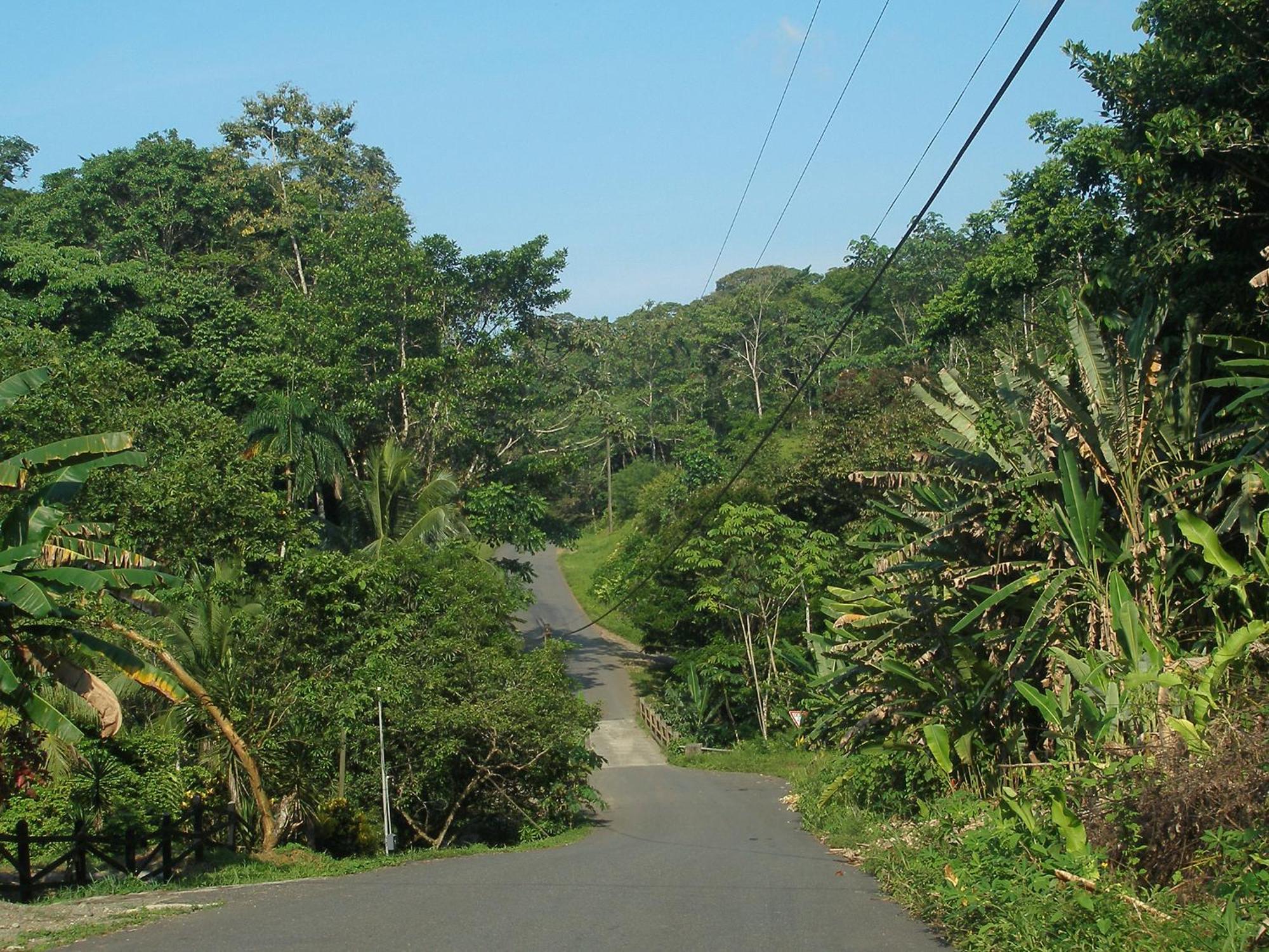 El Colibri Lodge Manzanillo  Zewnętrze zdjęcie