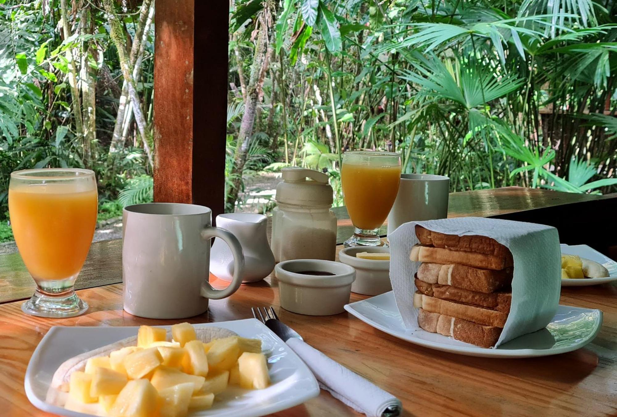 El Colibri Lodge Manzanillo  Zewnętrze zdjęcie