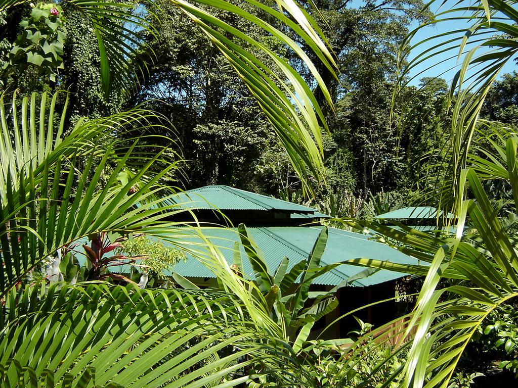 El Colibri Lodge Manzanillo  Zewnętrze zdjęcie