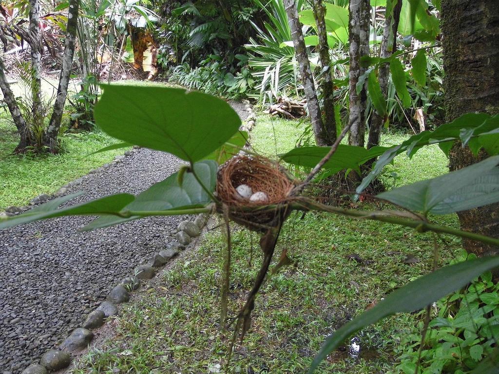 El Colibri Lodge Manzanillo  Zewnętrze zdjęcie