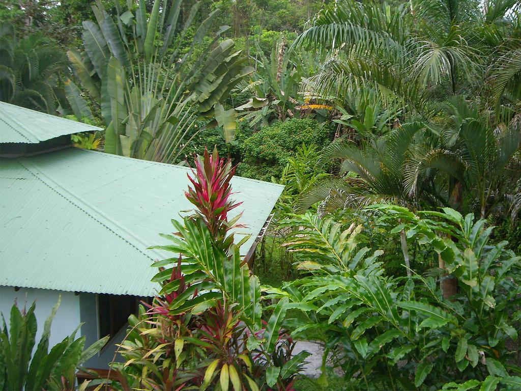 El Colibri Lodge Manzanillo  Zewnętrze zdjęcie