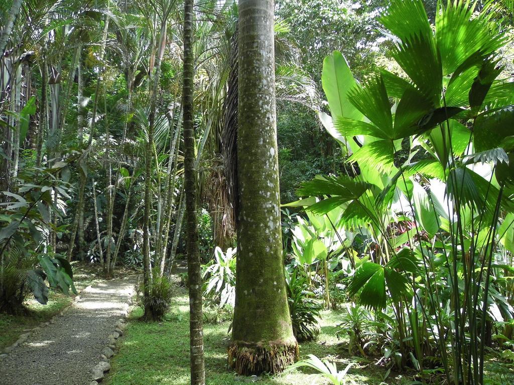 El Colibri Lodge Manzanillo  Zewnętrze zdjęcie